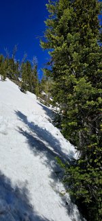 20240608_123820_copy_1200x2570.jpg 20240608_123820_copy_1200x2570.jpg