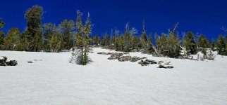 20240608_123832_copy_1200x560.jpg 20240608_123832_copy_1200x560.jpg