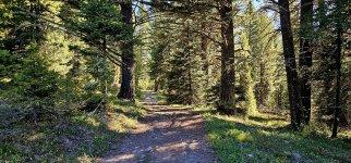 20240608_085134_copy_1200x560.jpg 20240608_085134_copy_1200x560.jpg