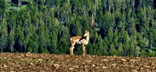 20240608_180658_copy_1200x560.jpg 20240608_180658_copy_1200x560.jpg