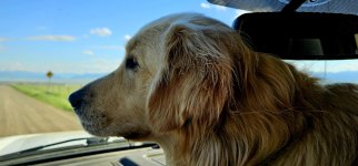 20240608_180715_copy_1200x560.jpg 20240608_180715_copy_1200x560.jpg