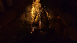 20221120 Deer Camp 06.jpg