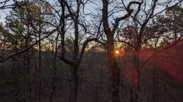 20221121 Deer Camp 04.jpg