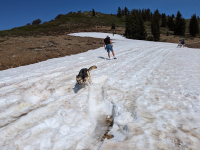 AP1GczOUd1JDAB5C8RpuO_8Fk7h4TIBj.png AP1GczOUd1JDAB5C8RpuO_8Fk7h4TIBj.png