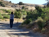 20240708_081150.jpg 20240708_081150.jpg