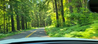 1000001920.jpg 1000001920.jpg