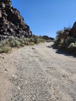 20240711_100159.jpg 20240711_100159.jpg