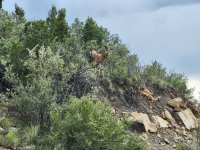 20240712_165130.jpg 20240712_165130.jpg