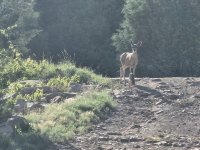 20240713_081914.jpg 20240713_081914.jpg