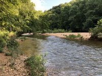 IMG_0163.jpeg IMG_0163.jpeg