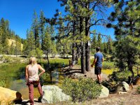 image (33).jpg image (33).jpg