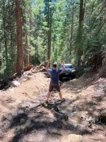 image (40).jpg image (40).jpg