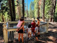 image (41).jpg image (41).jpg