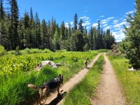 image (47).jpg image (47).jpg