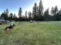 image (59).jpg image (59).jpg