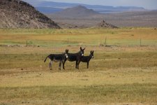 Mikes_Race_Photo_MRP15234V2R copy.jpg