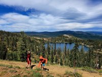 image (63).jpg image (63).jpg