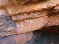 P1040506 Onegunyah Rockhole e.JPG