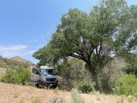 shade lunch.jpg shade lunch.jpg