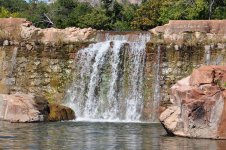 DSC_0040.JPG DSC_0040.JPG