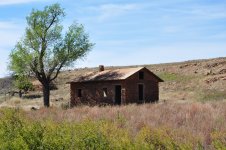 DSC_0447.JPG DSC_0447.JPG