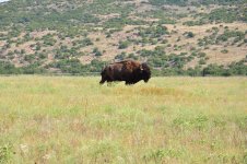 DSC_0223.JPG DSC_0223.JPG