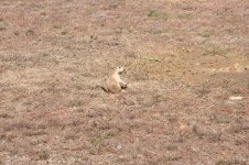 DSC_0278.JPG DSC_0278.JPG