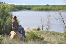 DSC_0644.JPG DSC_0644.JPG