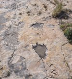 DSC_0595.JPG DSC_0595.JPG