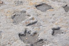 DSC_0620.JPG DSC_0620.JPG