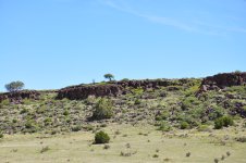 DSC_0681.JPG DSC_0681.JPG