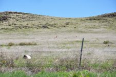 DSC_0676.JPG DSC_0676.JPG