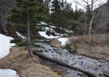 DSC_0248.JPG DSC_0248.JPG