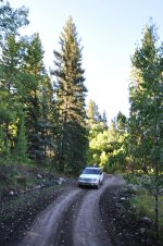 DSC_0317.JPG DSC_0317.JPG