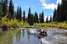 DSC_0780.JPG DSC_0780.JPG