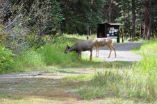 DSC_0743.JPG DSC_0743.JPG