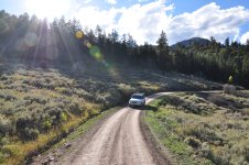 DSC_0335.JPG DSC_0335.JPG