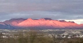 IMG_0155(1).JPG IMG_0155(1).JPG