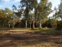 P1040568 Derba e.JPG