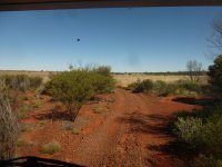 P1040636e.JPG P1040636e.JPG