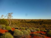 P1040640e.JPG P1040640e.JPG