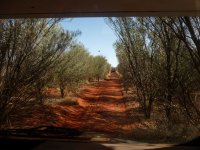 P1040669e.JPG P1040669e.JPG