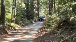 AP1GczPk_HP6UydFPBiOu7IDtGDKCmf4 (1).jpg