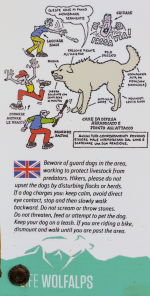 1723133552968.png 1723133552968.png