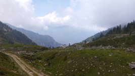 1723133600418.png 1723133600418.png