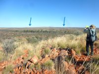 P1040694e.JPG P1040694e.JPG