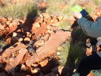 P1040695e.JPG P1040695e.JPG