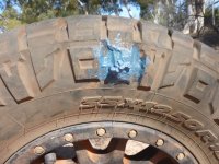 P1040698e.JPG P1040698e.JPG