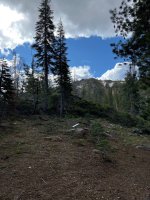 IMG_8742.jpeg