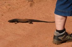 P1040702ce.JPG P1040702ce.JPG